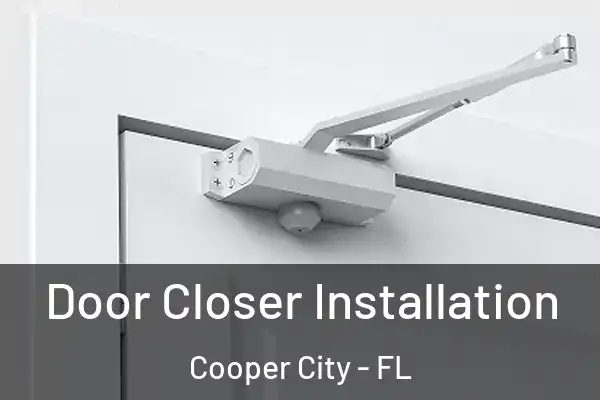 Door Closer Installation Cooper City - FL