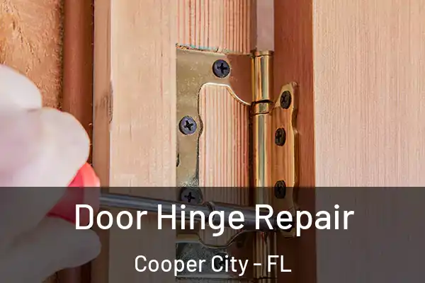  Door Hinge Repair Cooper City - FL