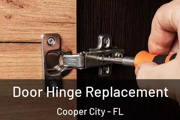 Door Hinge Replacement Cooper City - FL