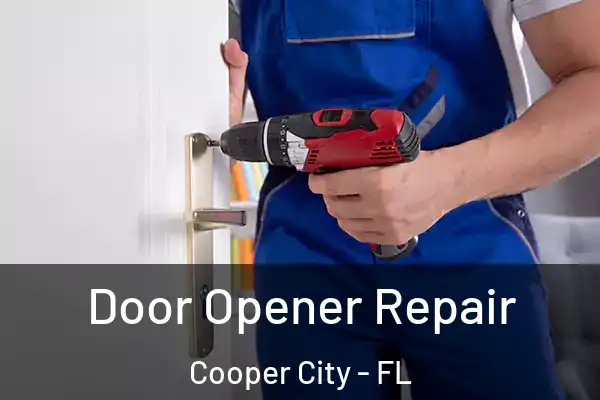  Door Opener Repair Cooper City - FL