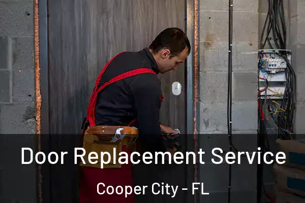 Door Replacement Service Cooper City - FL