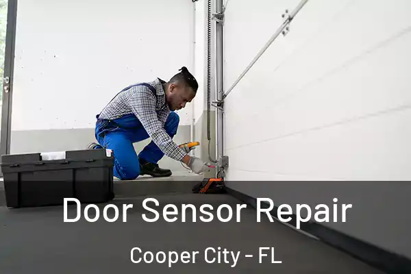 Door Sensor Repair Cooper City - FL