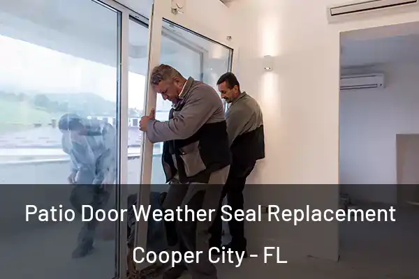  Patio Door Weather Seal Replacement Cooper City - FL