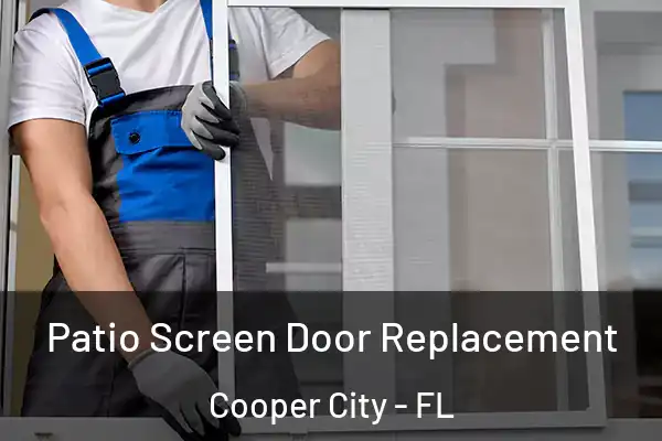 Patio Screen Door Replacement Cooper City - FL