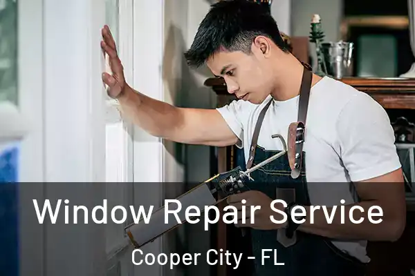 Window Repair Service Cooper City - FL